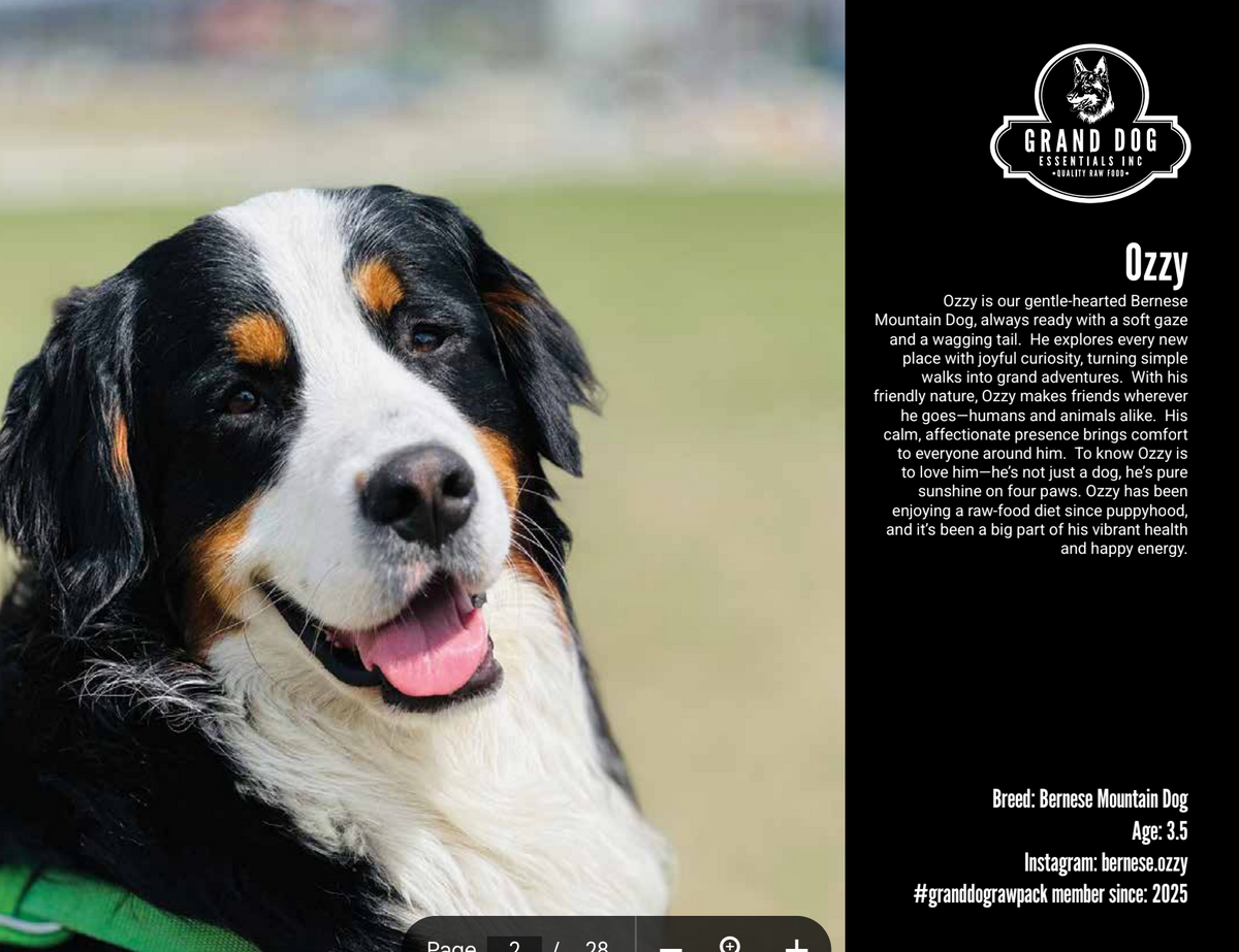 Grand Dogs & Cats of 2026 Calendar