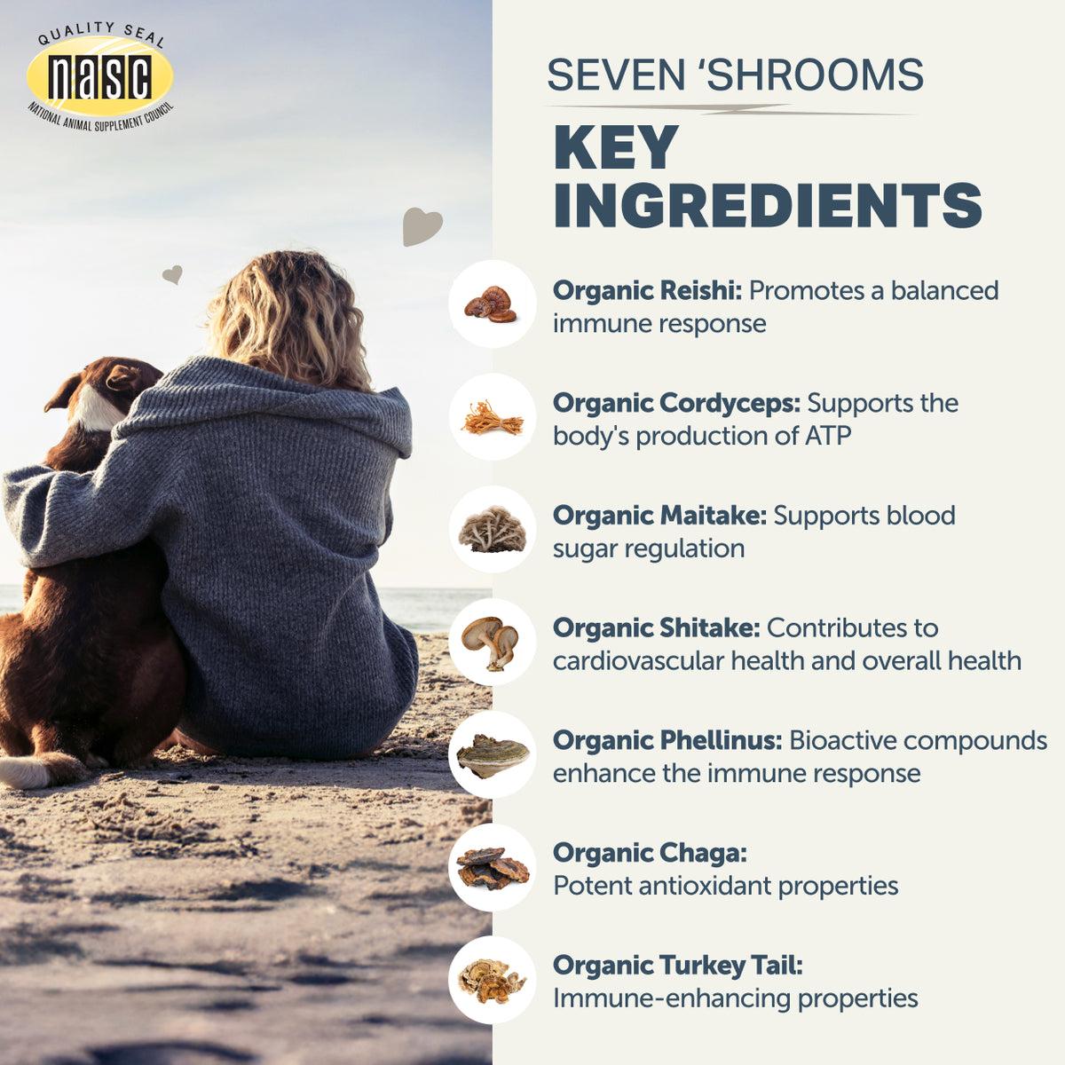 4LR Seven 'Shrooms - Organic Mushroom Mix for Dogs
