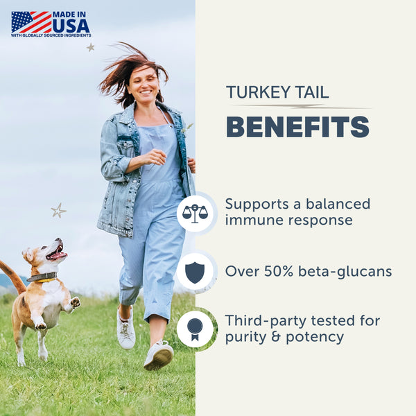 4LR TURKEY TAIL MUSHROOMS FOR DOGS
