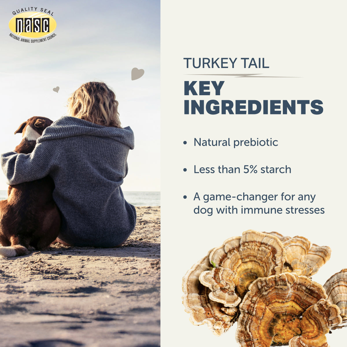 4LR TURKEY TAIL MUSHROOMS FOR DOGS