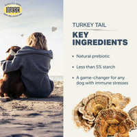 4LR TURKEY TAIL MUSHROOMS FOR DOGS