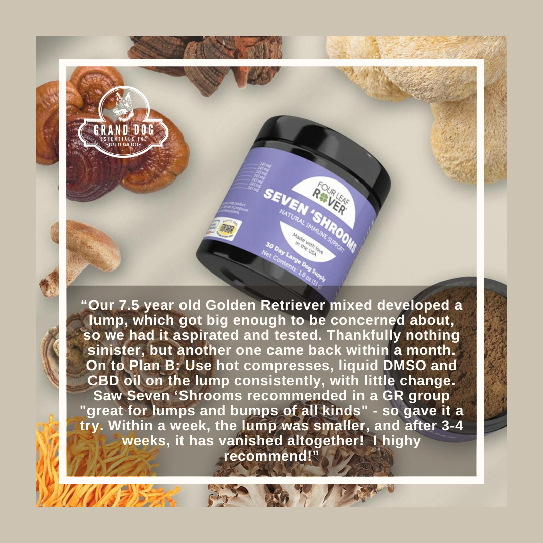4LR Seven Shrooms Organic Mushroom Mix for Dogs Grand Dog Essentials