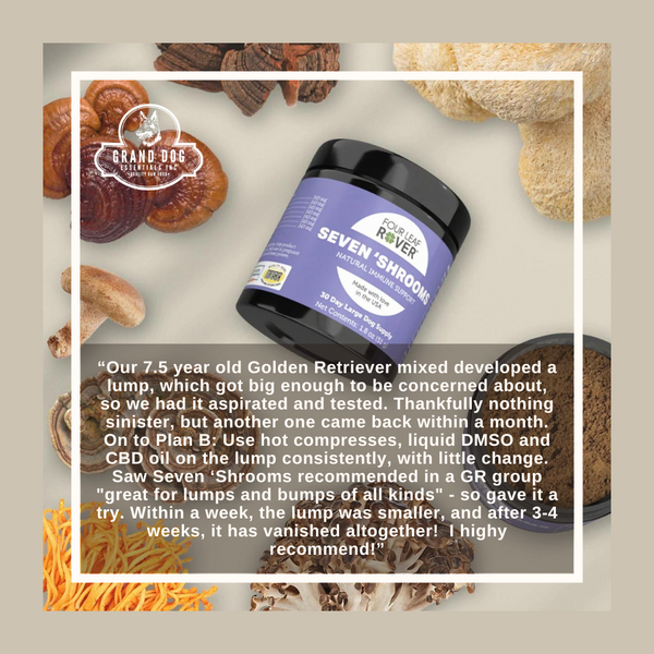 4LR Seven 'Shrooms - Organic Mushroom Mix for Dogs