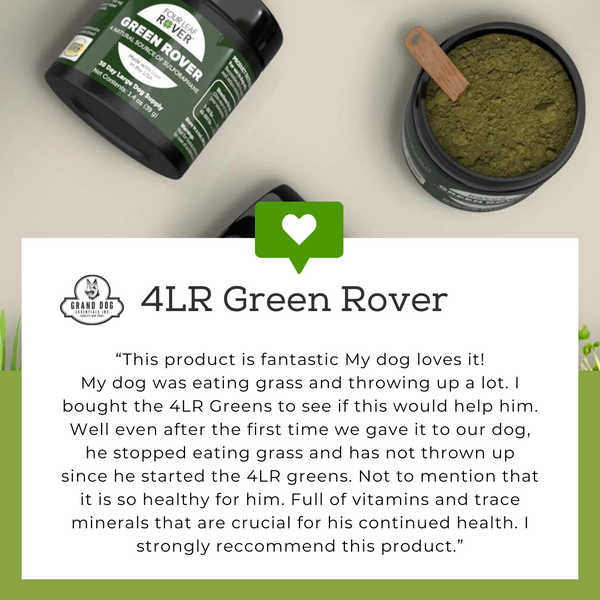 4LR Green Rover - Organic Greens for Happy Dogs