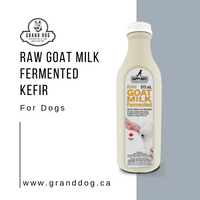 Raw Goat Milk for Dogs Happy Days Dairy Raw Fermented Goat Milk 975ml Quality Raw Food in Alberta Grand Dog Essentials