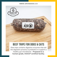 CK9 Ground Tripe for Dogs & Cats