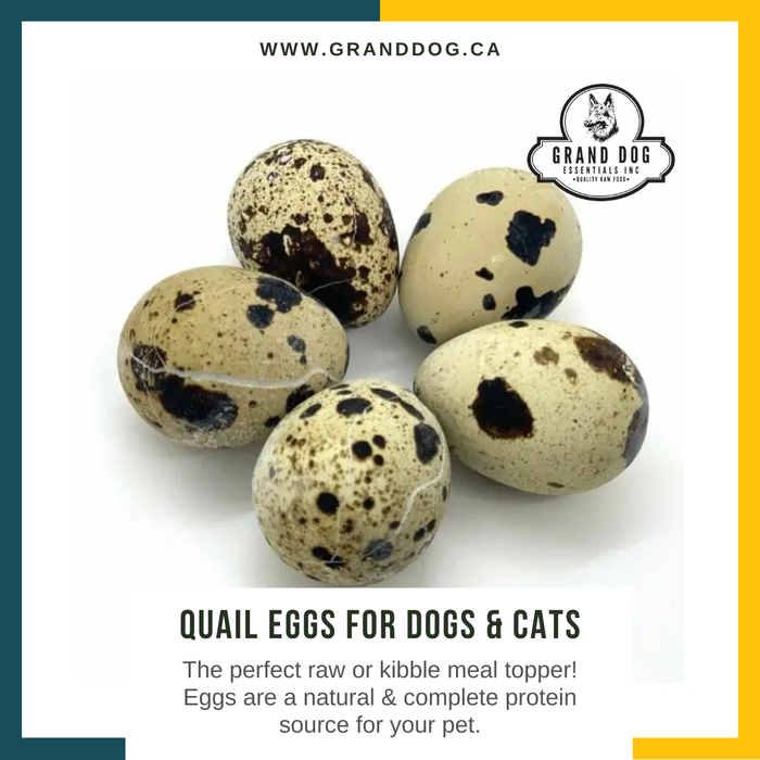 Quail Eggs - 24 Pack