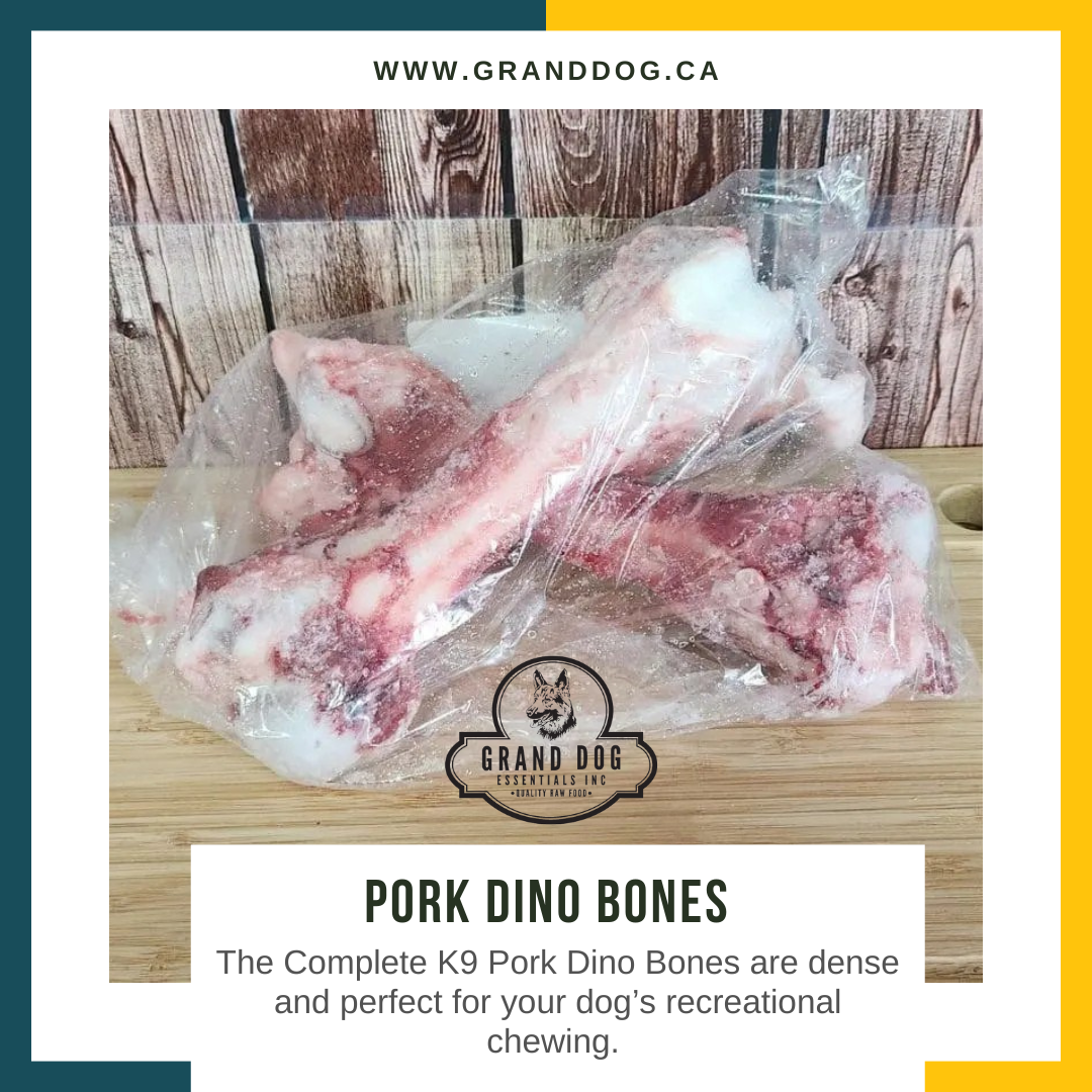 CK9 Pork Dino Bones - 5 Bones per Box