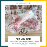 CK9 Pork Dino Bones - 5 Bones per Box