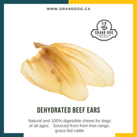 CK9 Dehydrated Beef Ears