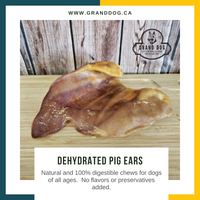 CK9 Dehydrated Pig Ears