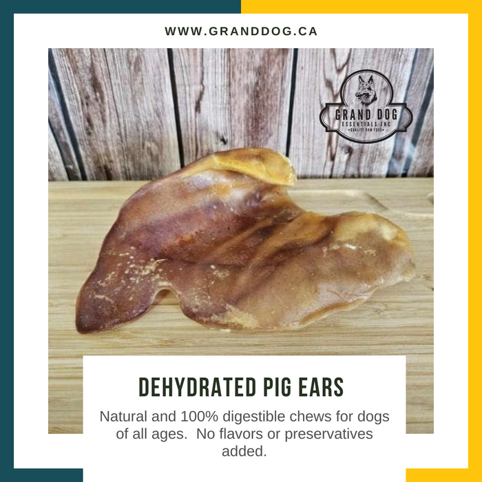 CK9 Dehydrated Pig Ears