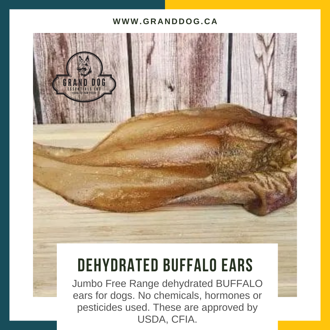 CK9 Dehydrated Buffalo Ear