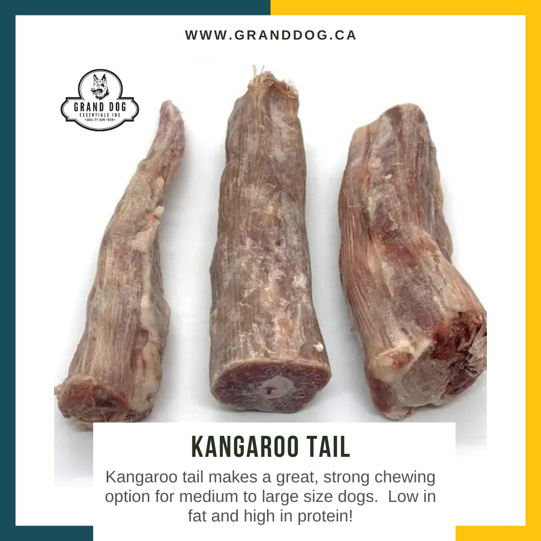 CK9 Kangaroo Tail