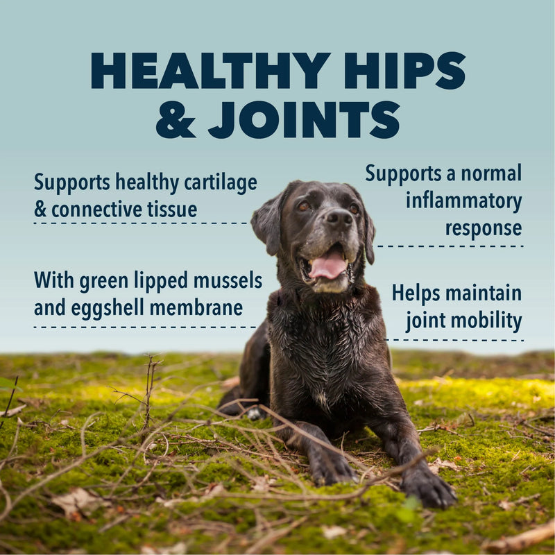 4LR BUNDLE: Joint Support for Dogs
