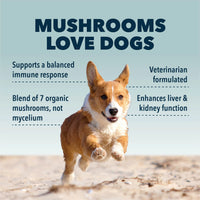 4LR Seven 'Shrooms - Organic Mushroom Mix for Dogs