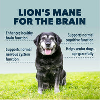 4LR BUNDLE: Senior Support for Dogs