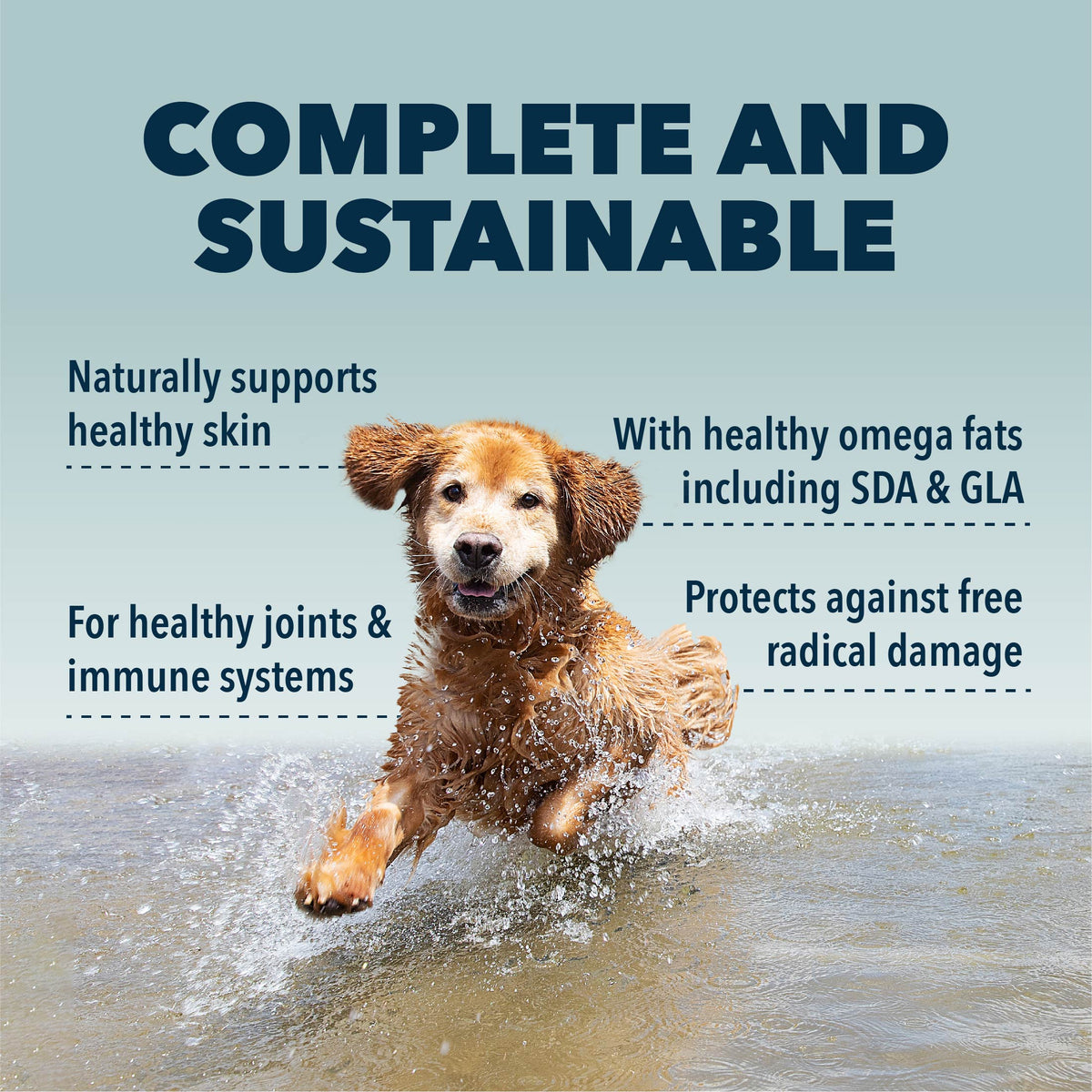 4LR BUNDLE: Immunity Support for Dogs
