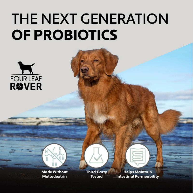 4LR Saccharomyces boulardii - Yeast Based Probiotics For Dogs